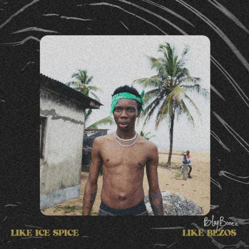 Cover art of Blaqbonez – Like Ice Spice