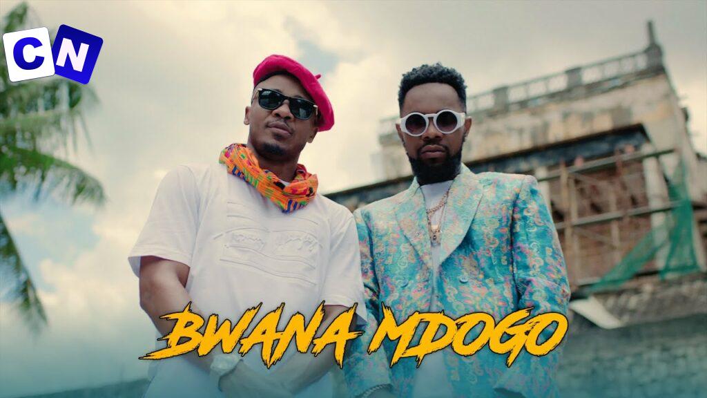 Cover art of Alikiba Ft Patoranking – Bwana Mdogo (    Video)