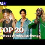 Apple Music Top 20 Nigeria Songs