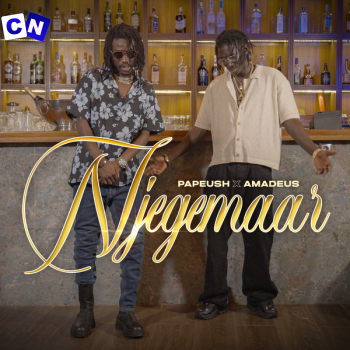 Cover art of Papeush – Njegemaar Ft Amadeus