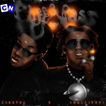 Cover art of Zerrydl – Puff & Pass (Remix) Ft Shallipopi