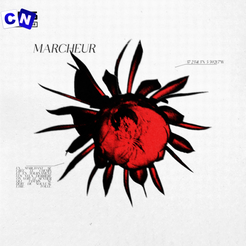 Wiguez – Marcheur Latest Songs