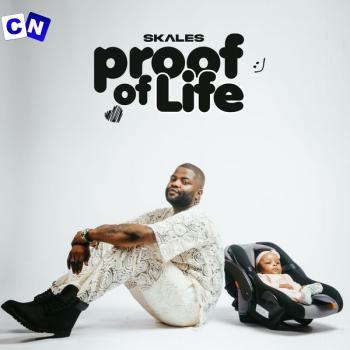 Cover art of Skales – I Still Dey