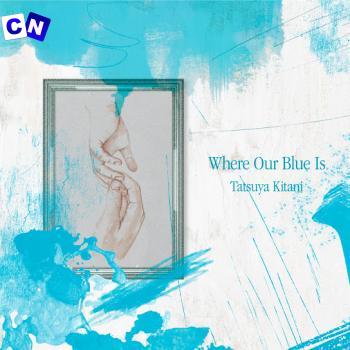 Tatsuya Kitani – Where Our Blue Is Latest Songs