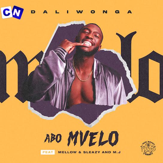 Cover art of Daliwonga – Abo Mvelo Ft. Mellow, Sleazy & M.J