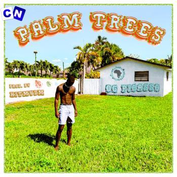 Cover art of OG Picasso – PALM TREES