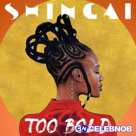 Cover art of Shingai – Ndirikushedzera