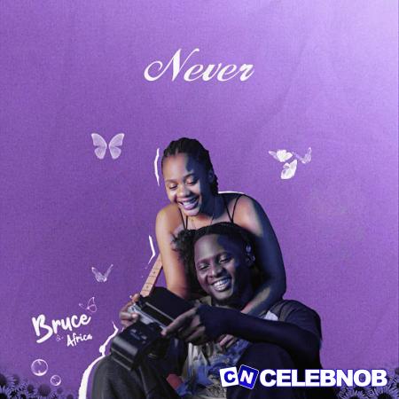 Cover art of Bruce africa – Never