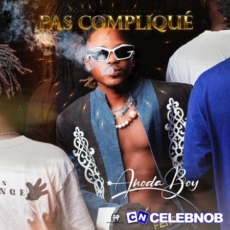 Cover art of Anodaboy – Pas compliqué