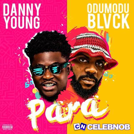 Cover art of Danny Young – Para Ft Odumodublvck