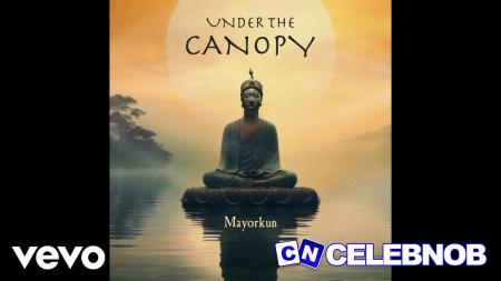 Cover art of Mayorkun – Under The Canopy