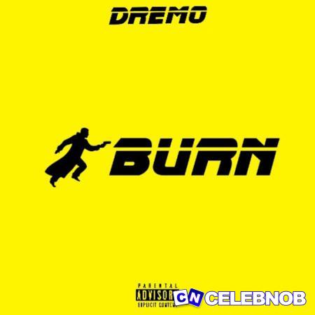 Cover art of Dremo – Burn