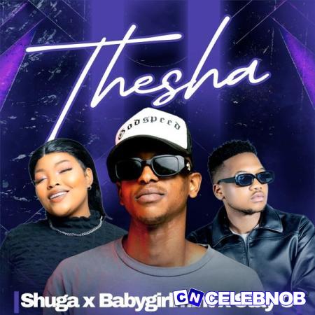 Shuga – Thesha ft Babygirlmint & Stay C Latest Songs