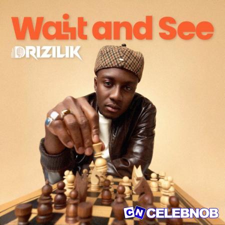 Drizilik – Lemonade ft The Therapist Latest Songs