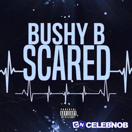 Cover art of Bushy B – Scared (Sped Up)