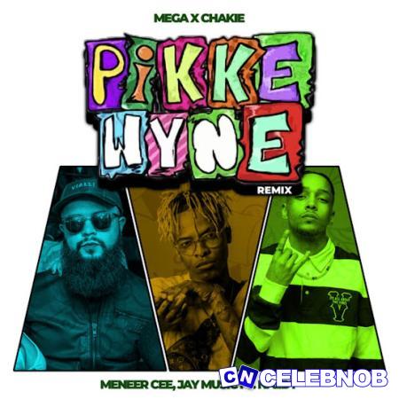 Cover art of Mega – Pikkewyne (Remix) ft. Chakie, Meneer Cee, Naiidy & Jay Music