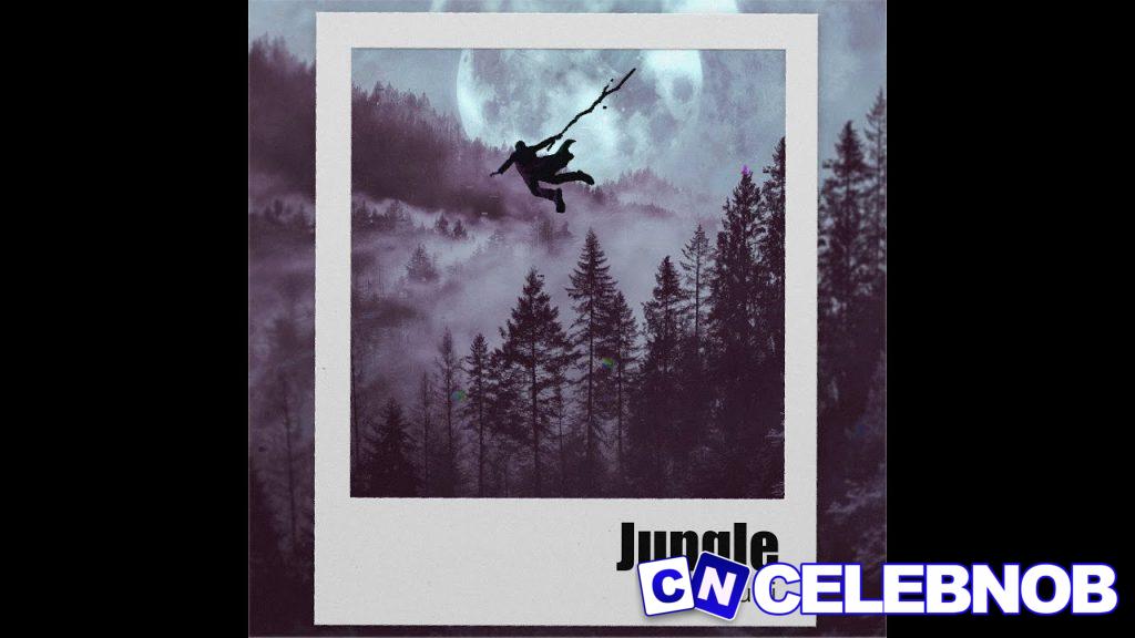 Cover art of Zubi – Jungle