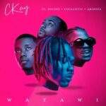 Ckay - WATAWI