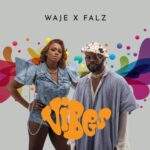 Waje Vibes(ftFalz)